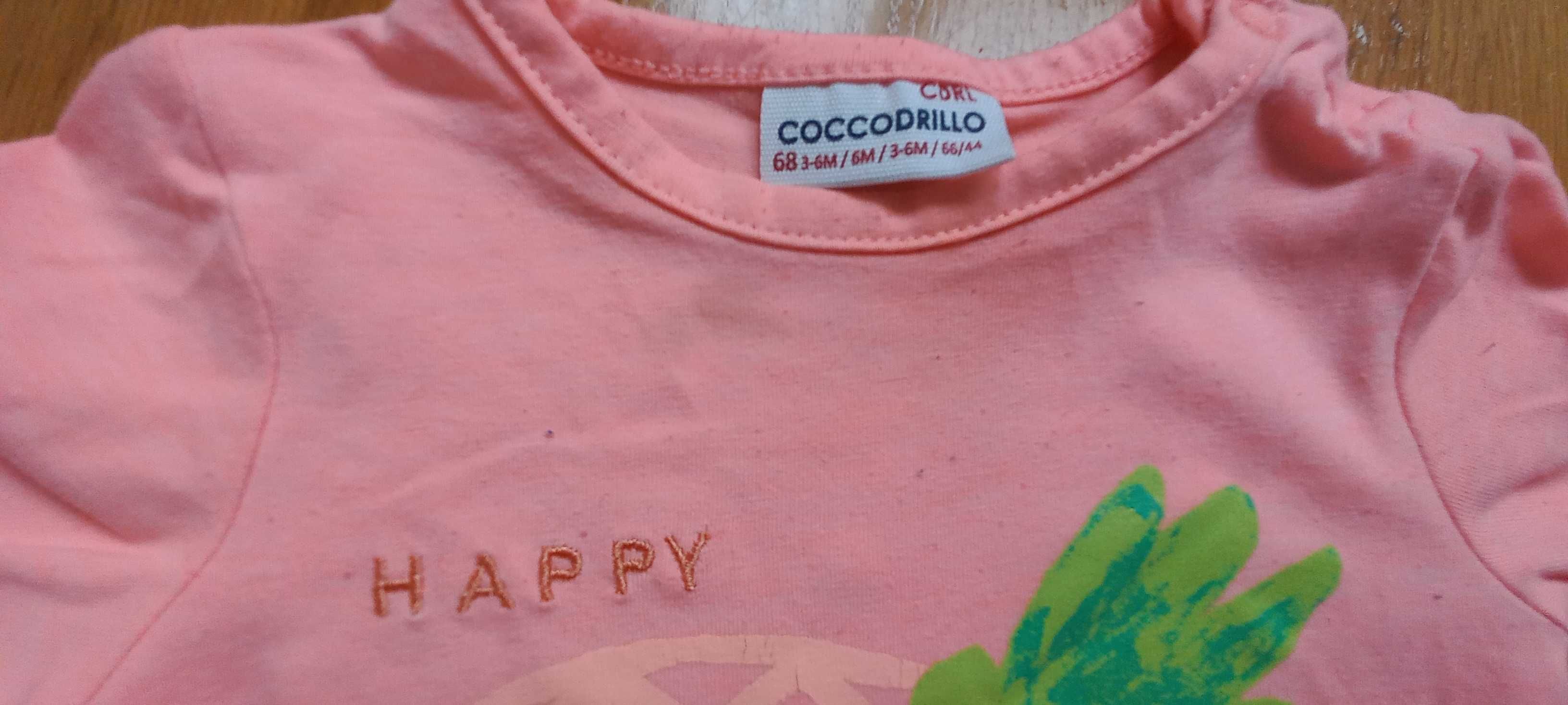 Zestaw: body + leginsy Coccodrillo  68