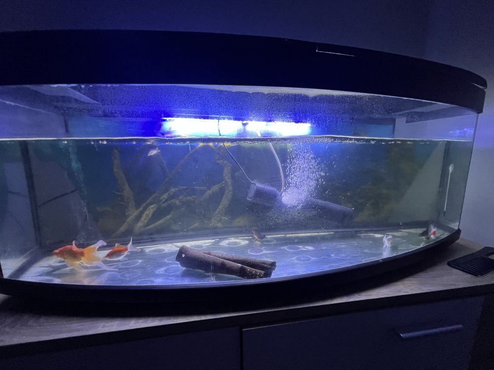 Aquario 200 litros