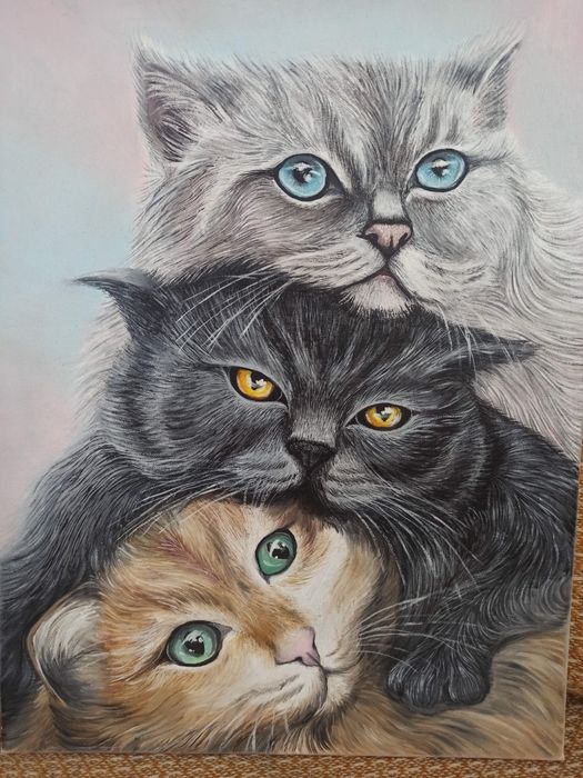 Obraz "KOTY" wym. 40x50