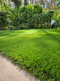 Sztuczna trawa w jakości PREMIUM - sprzedaż, montaż, serwis