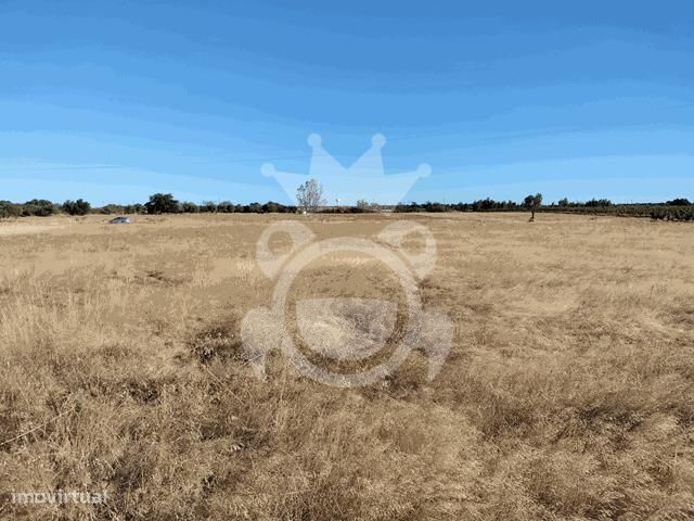 Terreno Rústico 6375 M2