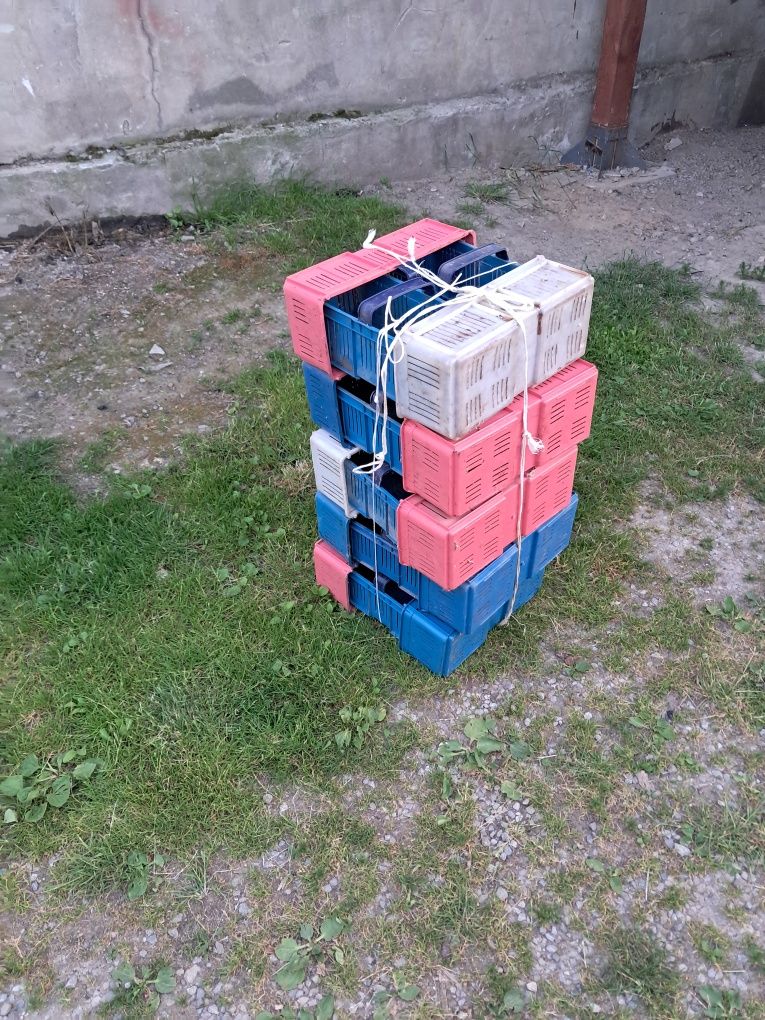 Koszyk na truskawki