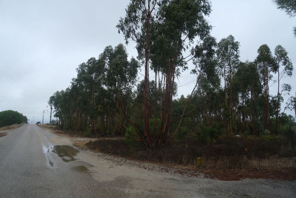 Terreno Rústico - Excelente oportunidade de negócio