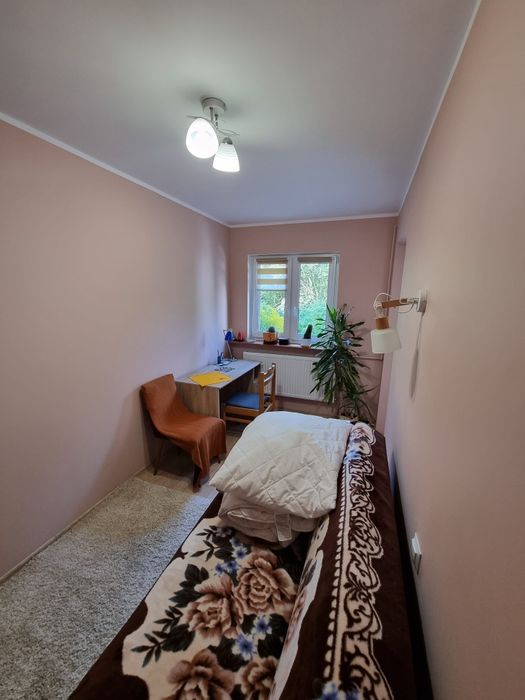 Domek do wynajęcia na dobę cena 100zł