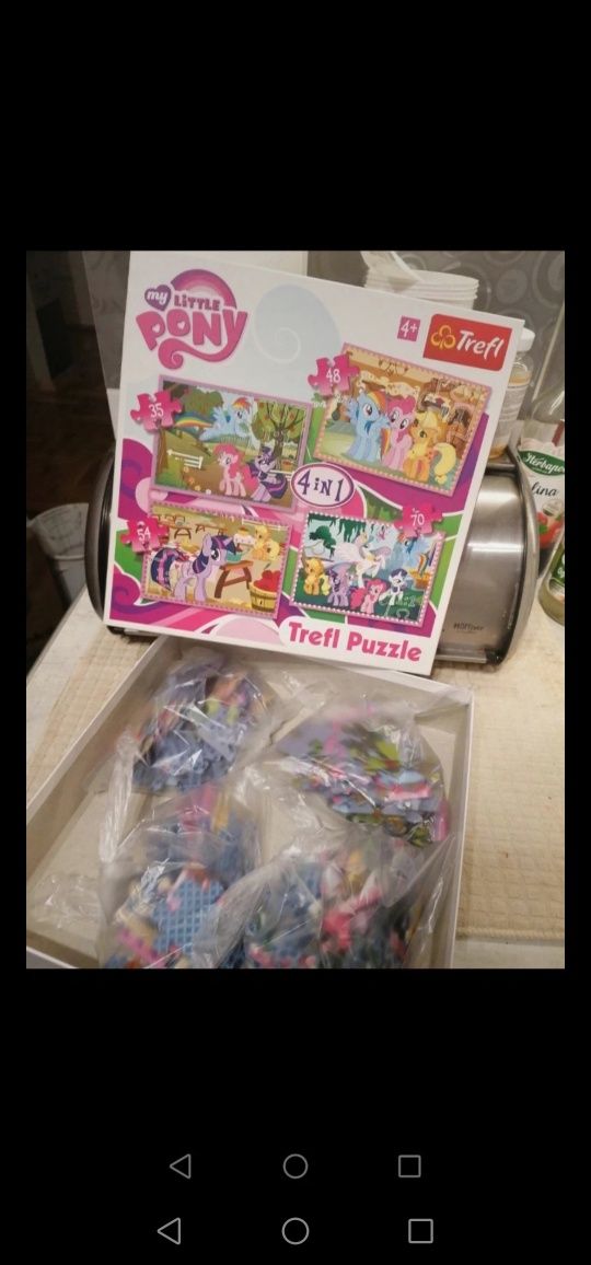 Puzzle Pony 4 w 1