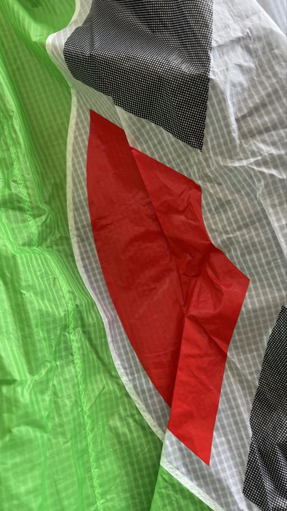 Wing Ozone Wasp V2 5.0
