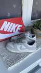Nike Dunk Grey Fog