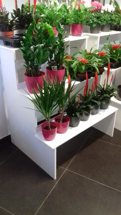 Schody drewniane kwietnik wyposażenie kwiaciarni dekoracja domu