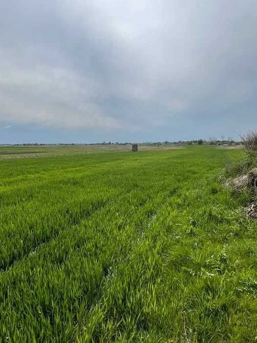 Продам земельну ділянку від власника під забудову с.Дерно