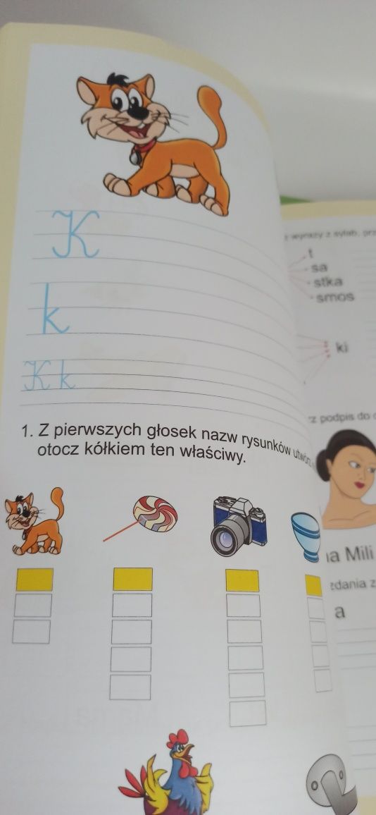 Elementarz_ćwiczenia w pisaniu i czytaniu ,Literolandia Workbook- Poli