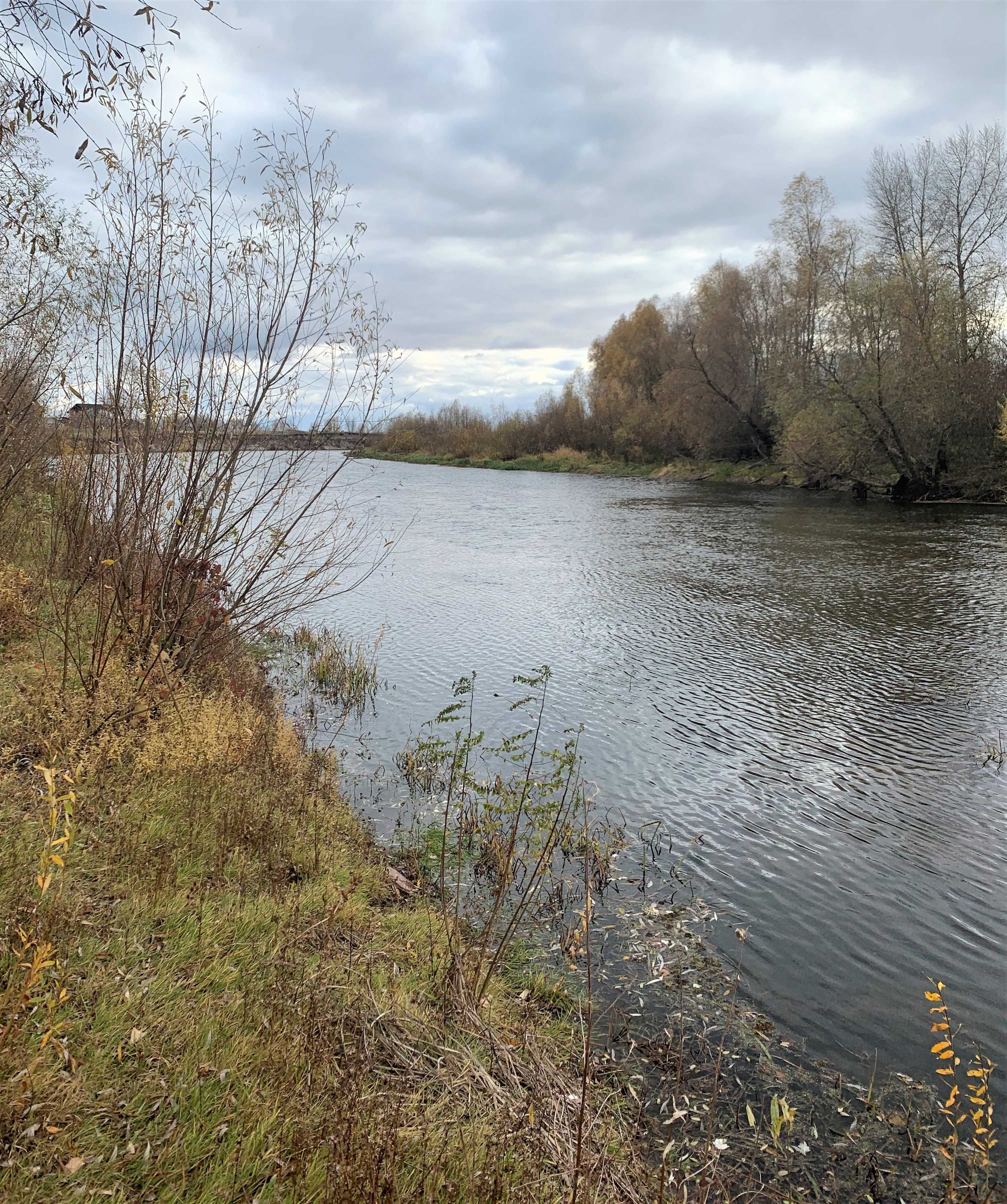 Участок у воды, 10 соток под застройку, выход к воде, с. Соболевка