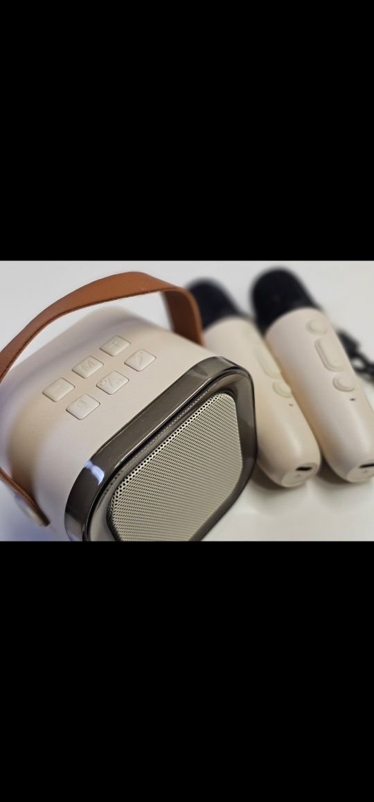 Coluna portátil Bluetooth karaoke mais 2 micros