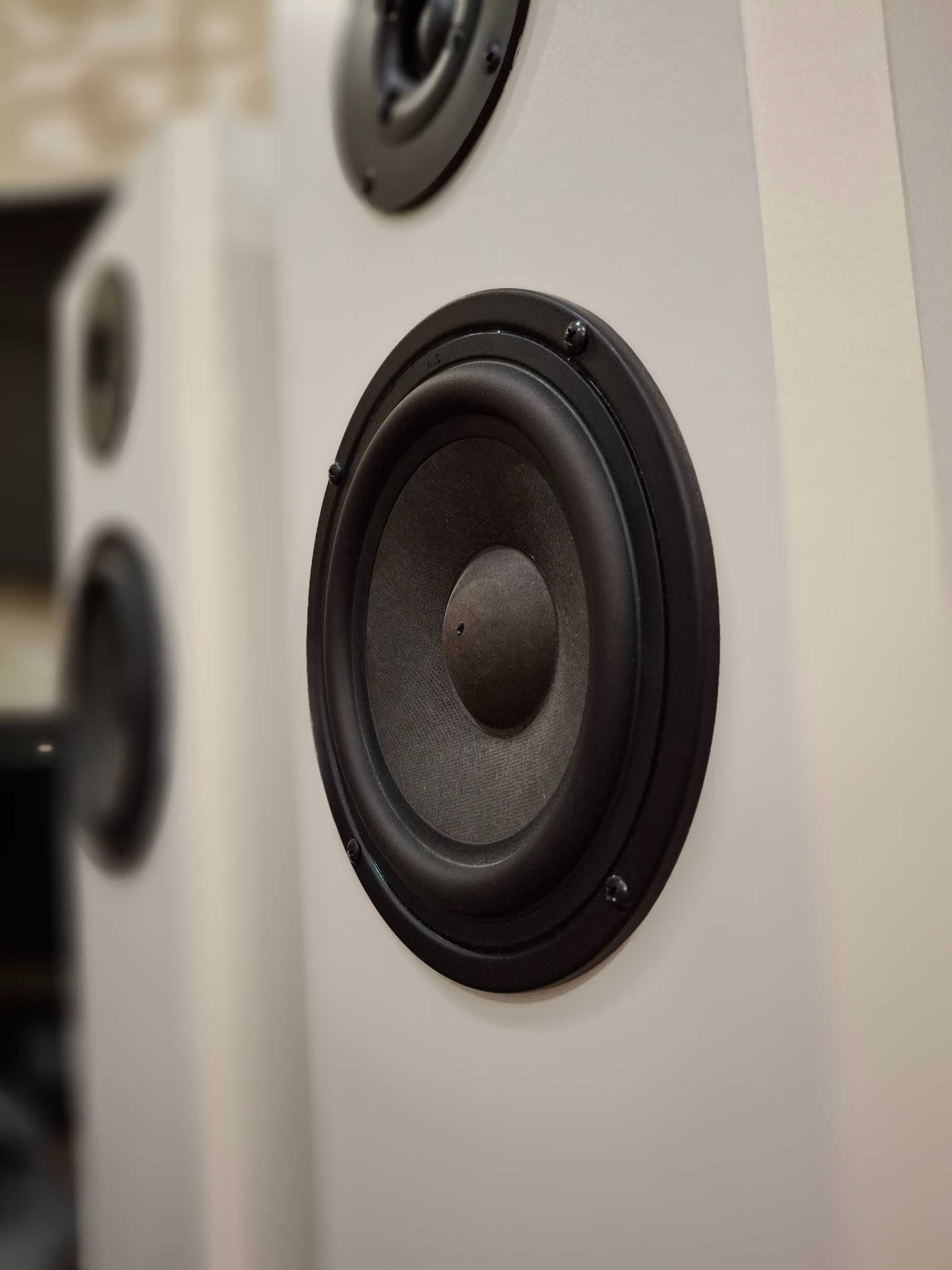 Рупорная акустика Crystal Sound 604 с отличным басом