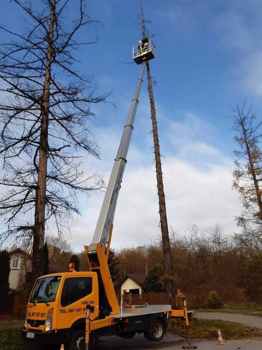 Podnośnik Koszowy Zwyżka Wycinka Drzew Gałęzi Wysięgnik Montaż Reklam
