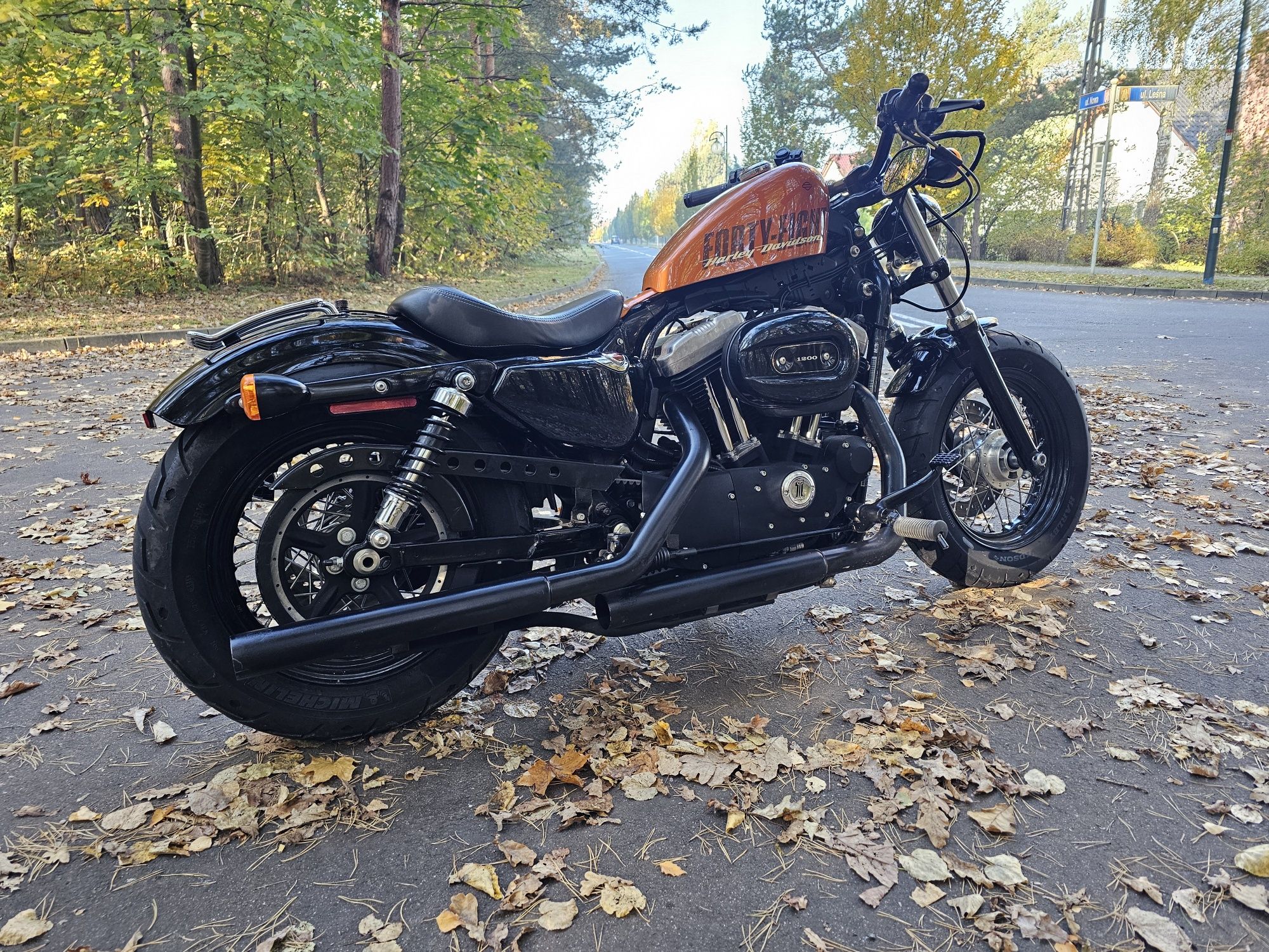Harley Davidson Sporster Peanut 48