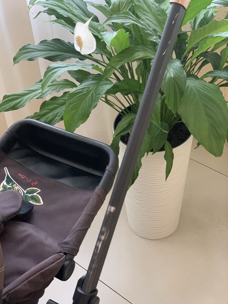Прогулянкова коляска Cybex Priam Blossom Light на шасі Rosegold