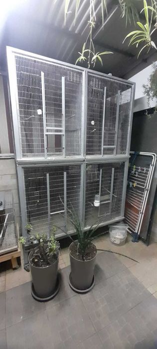 Gaiola grande com divisões