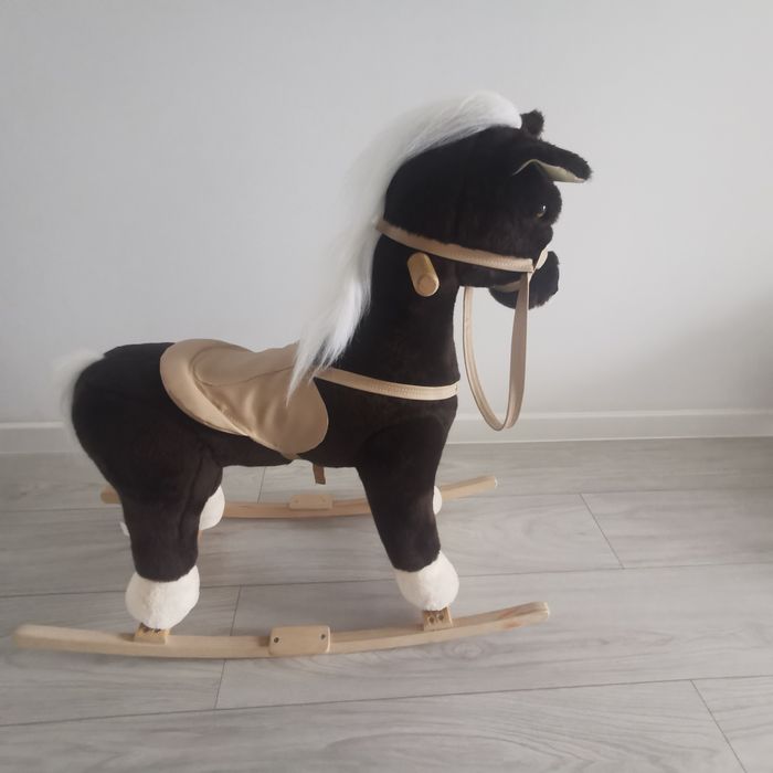 Konik na biegunach
