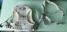 ANIMAL Conjunto Colete Coleira Cão Pequeno