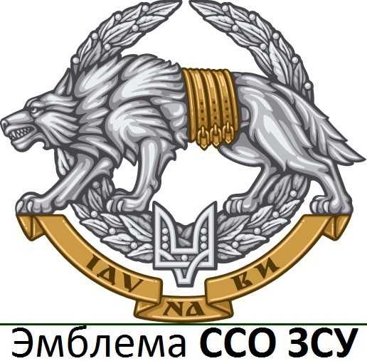 Монета Сили Спеціальних Операцій Збройних Сил України ССО ЗСУ 2022 РОЛ