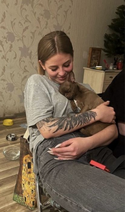 Передержка животных/Перетримка тварин /Готель для тварин /Вигул