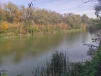 Продам земельну ділянку біля ставка в с.Петрівці Миргородського району