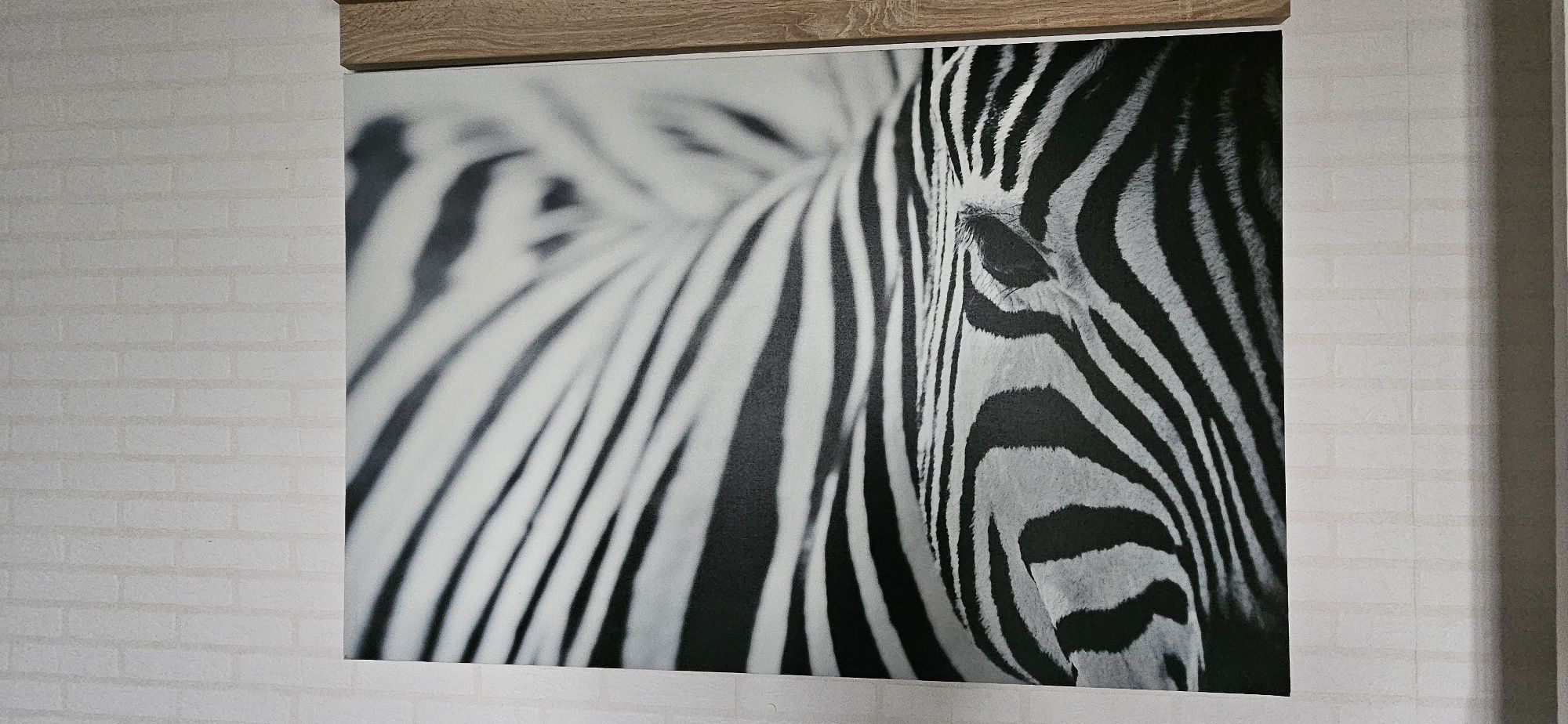 Obraz duży zebra
