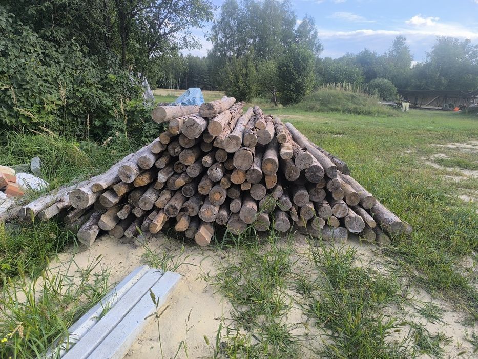 Stemple budowlane drewniane