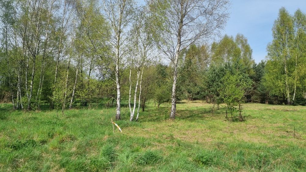 Nad jeziorem – idealna pod domki letniskowe lub inwestycję turystyczną