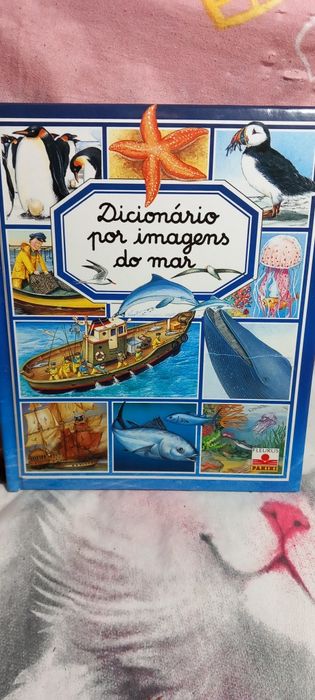 Dicionário imagens mar. Oferta 3° livro