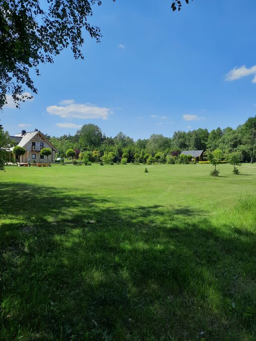 Dom nad Łowiskiem, jezioro Powidzkie, domek do wynajęcia