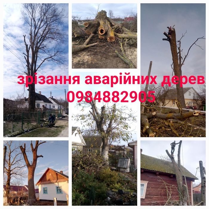 Зрізка аварійних дерев
