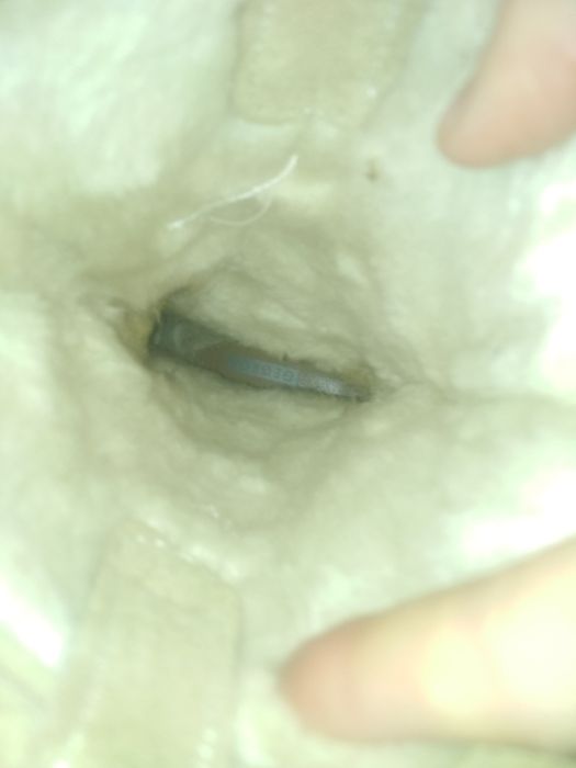 Чоботи George шкіряні зимові сапоги  натуральний замш бежеві 36