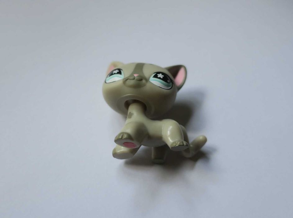 Kot shorthair littlest pet shop kotek