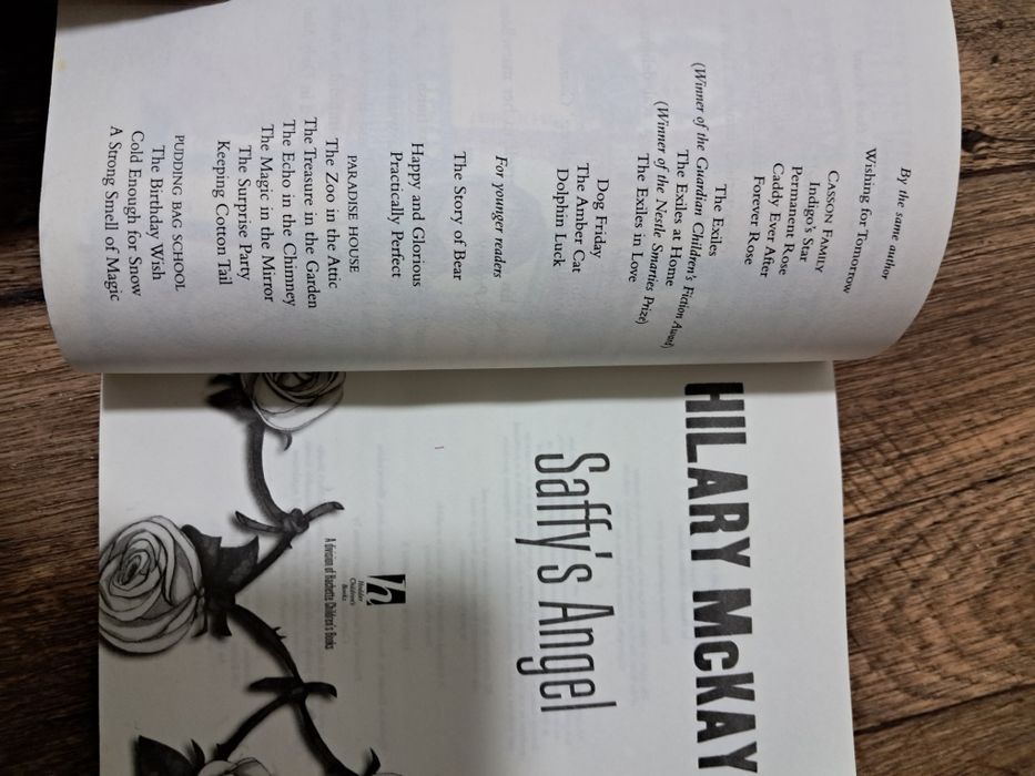 Хіларі Маккей "Янгол Софі", книга англійською для підлітків