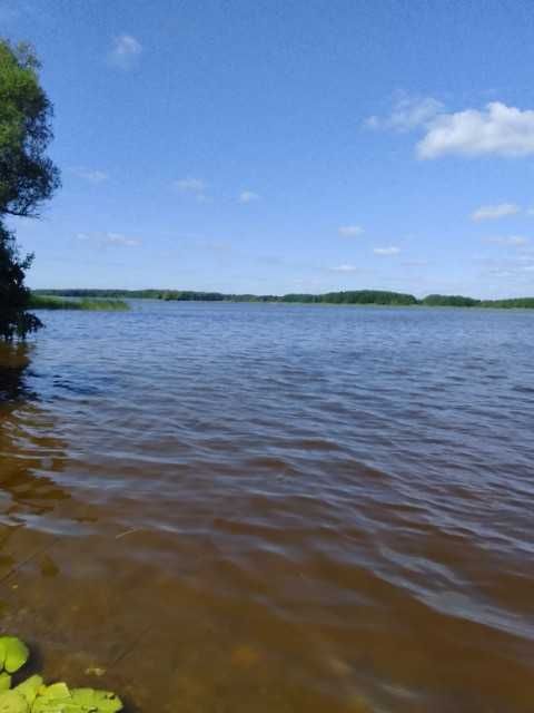 Działka nad jeziorem Jeziorak 30 arów