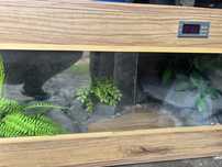 -TERRARIUM używane