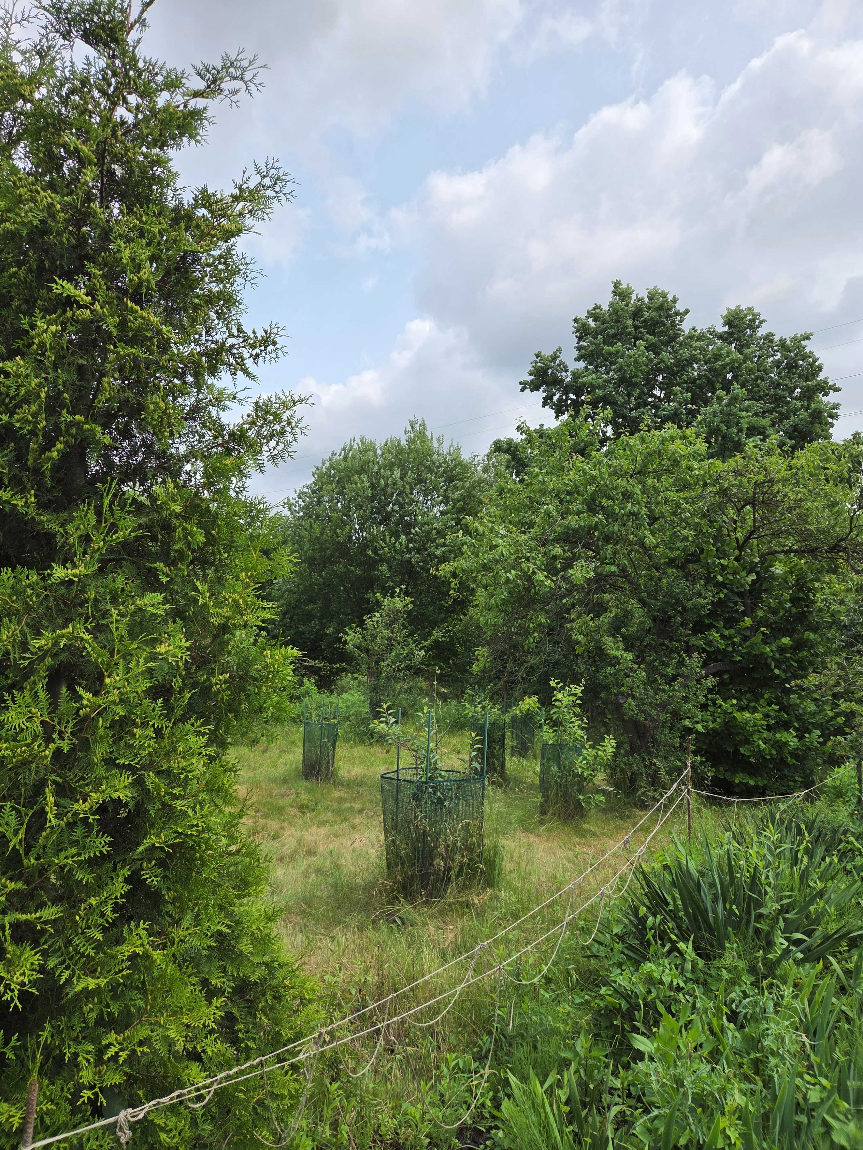 Ogródek działkowy