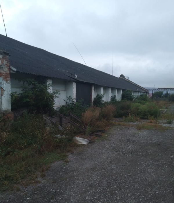 Здається в оренду складське приміщення  в Бережанах