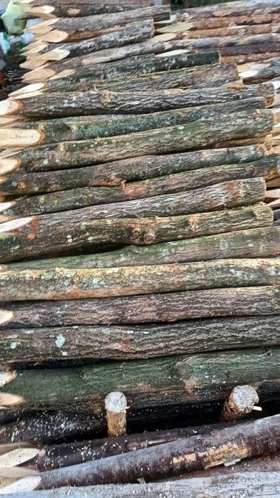 Kołki ,słupki ogrodzeniowe drewniane sosna,dąb