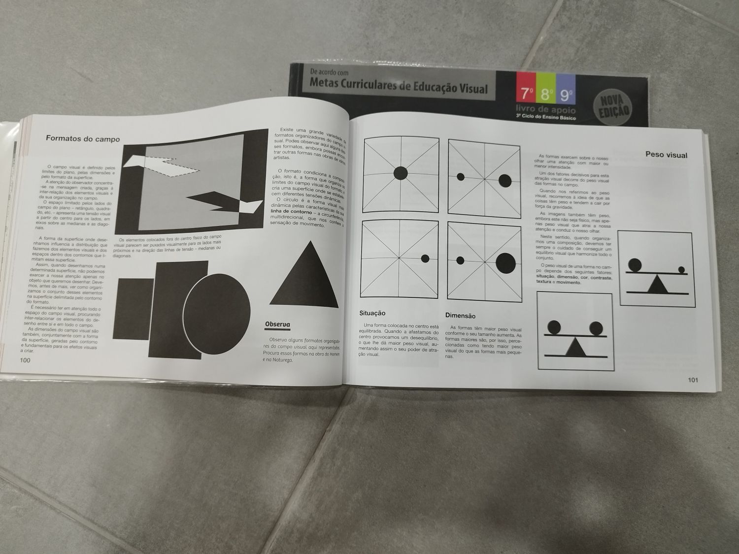 Manual das artes 7, 8 e 9 anos Educação visual