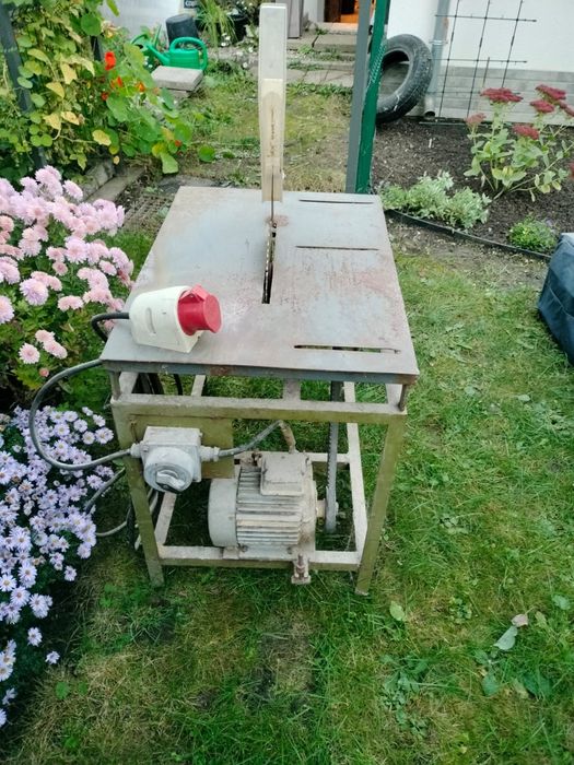 Piła stołowa (krajzega)