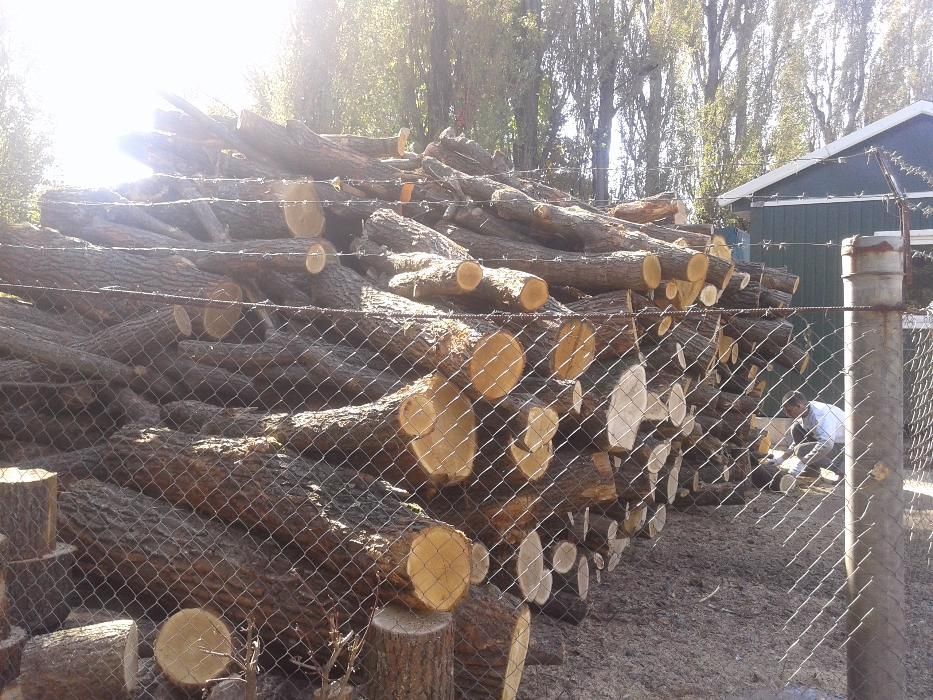 Продаємо дрова дубові колоті та кругляк, пиньки, чурки метрівки