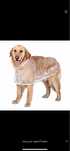 Capa chuva para cão NOVA