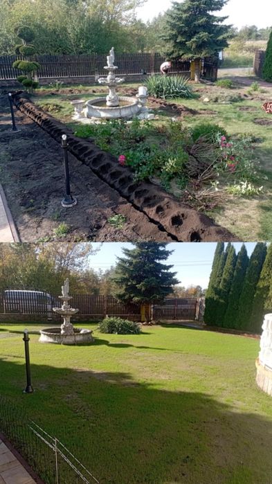 Usługi koparka łańcuchowa