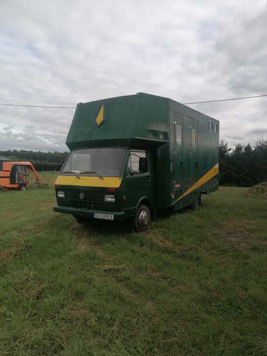 VW lt 55 koniowóz