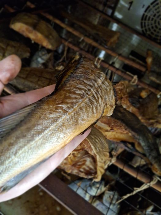 Węgorz - Wędzony dymem, Mały rodzinny zakład, dostawa lu