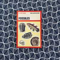 Le Petit Guide: Fossiles
