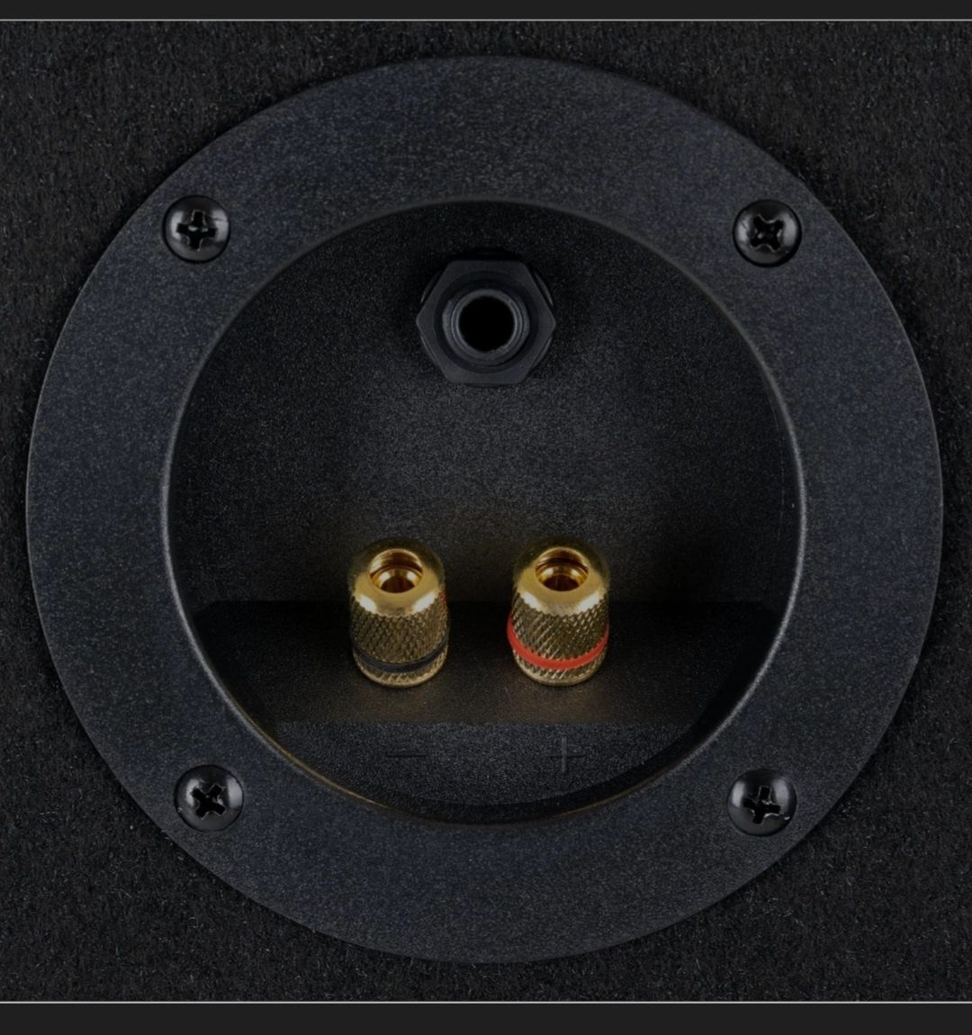 McGrey TP-10 DJ PA głośnik Box 25 cm (10") subwoofer 400 W (pasywny, s