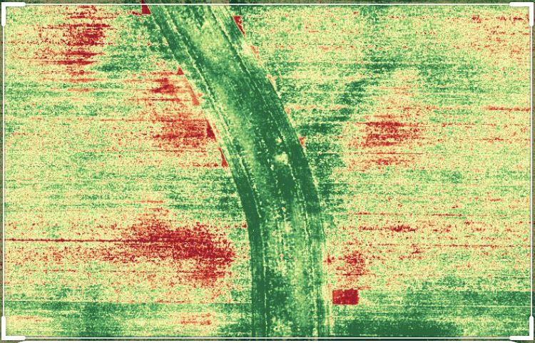 Badania gleby , dron, zdjęcia NDVI, badania azotu, szkody łowieckie